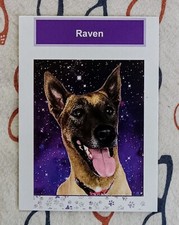 Renown health raven for sale  Reno