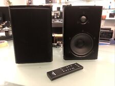 Dynaudio xeo2 diffusori usato  Vajont