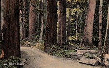 Spokane washington forest for sale  Palm Bay