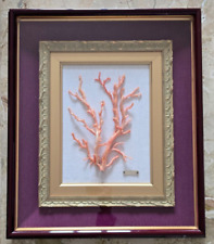 Quadro con corallo usato  Fermo