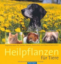 Heilpflanzen tiere phytotherap gebraucht kaufen  Berlin