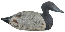 Vintage canvasback drake for sale  Southampton