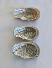 Abalone muschel seeohr gebraucht kaufen  Egmating