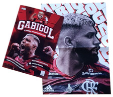 GABIGOL (CHILDREN'S BOOK) = Flamengo Brazil Football LIVRO INFANTIL C/ PÔSTER, usado comprar usado  Brasil 