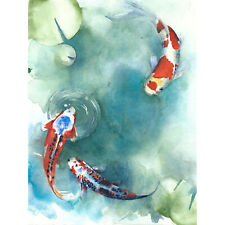 large koi fish for sale large koi fish for sale EDINBURGH