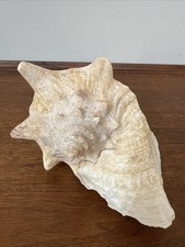 Vtg huge collectible for sale  Crofton