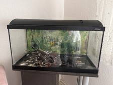 Aquarium rechteck becken gebraucht kaufen  Hersbruck