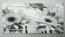 Wandbild sonnenblumen blüten gebraucht kaufen  Geilenkirchen