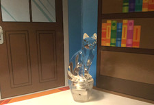 Cat kitten home for sale  Fayetteville