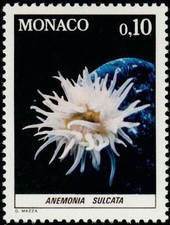 Monaco 1254 faune d'occasion  Grisolles