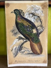 Watercolour painting pheasant for sale  TARPORLEY