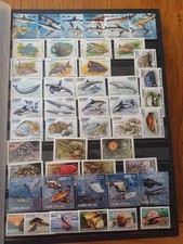 live marine fish for sale live marine fish for sale BALLYMENA