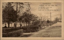 1910 dänemark danmark gebraucht kaufen  Wöllstein