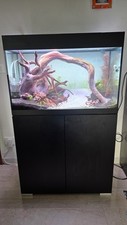 Acquario completo oase usato  Venezia