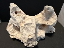 Large texas limestone for sale  Worth