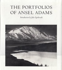 The portfolios ansel usato  Italia