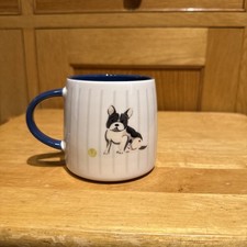 blue french bulldog for sale blue french bulldog for sale FAREHAM