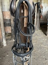 kandare gebraucht kaufen kandare gebraucht kaufen Gaienhofen