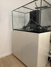 Red sea reefer gebraucht kaufen  Ismaning