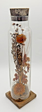 Vintage rustic dried for sale  Las Vegas
