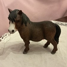 Leonardo brown shetland for sale  POOLE