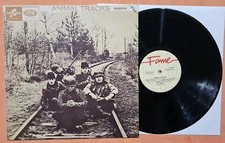 The animals animal usato  Roma