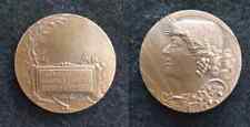 Superbe medaille merite d'occasion  Douai