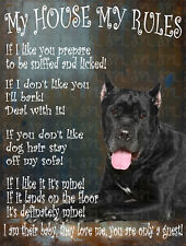 Cane corso dog for sale  UK