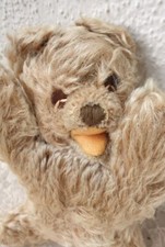 Echter steiff bär gebraucht kaufen  Langenargen