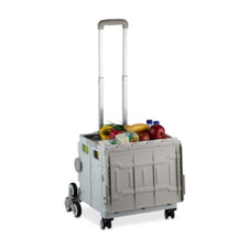 trolley spesa richiudibile usato trolley spesa richiudibile usato Roccagloriosa