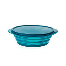 Tupperware mini max gebraucht kaufen Tupperware mini max gebraucht kaufen  Sehmatal