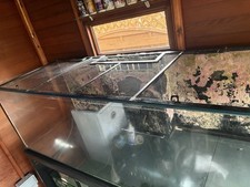 Red sea reefer for sale  NUNEATON