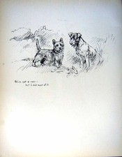 Old vintage print for sale  UK