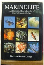 Marine life illustrated for sale  UK