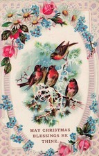 Dated 1898 birds for sale  Sag Harbor