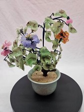 Jade bonsai tree for sale  Houston