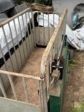 Tier waage gebraucht kaufen  Dessau-Roßlau