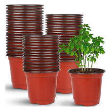 100 200x garden for sale 100 200x garden for sale  HATFIELD