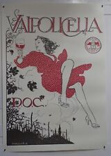 Valpolicella vino doc usato  Bussoleno