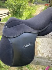 Thorowgood maxam pony for sale  PRESTON