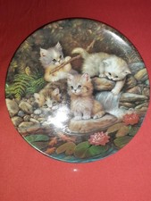 Kittens plate bradex for sale  DARWEN