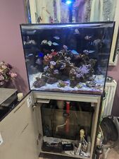 Tmc marine 600 for sale  WOLVERHAMPTON