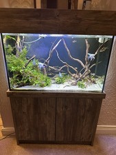 X24 aquarium cabinet for sale  LONDON