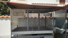 Voliera per uccelli usato  Fiumicino