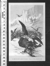 G791 / GRAVURE /  LE CONDOR REY DANS LA QUEBRA DE GUAVITA, usado comprar usado  Enviando para Brazil