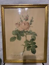 Tableau redouté rose. d'occasion  Villepinte