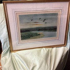 Peter scott large for sale  BECCLES