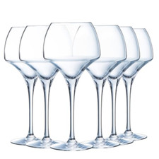 Chef sommelier calice usato  Roccagloriosa