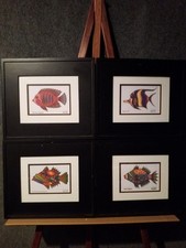 Cindy coats signed for sale  Auburn