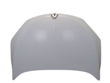 Motorhaube 369 blanc gebraucht kaufen  Bad Nauheim